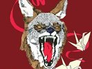 HIATUS KAIYOTE - TAWK TOMAHAWK NEW VINYL