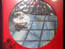 Skids Scared to Dance pic disc sealed post punk Big Country Stuart Adamson