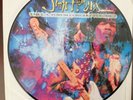 Jimi Hendrix The L.A. Forum Concert Vol.2 UK Picture Disc LP 2009 FREEPOST UK