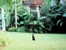 Matt Corby ?– Rainbow Valley LP (NEW SEALED 2018 Vinyl) OOP Oz Folk Rock
