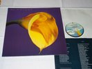 SWANS - THE BURNING WORLD / GERMANY MCA-VINYL-LP 1989 (MINT-) & INLET