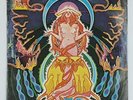 Hawkwind, Space Ritual, Double Vinyl LP
