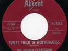 Human Expression“ Sweet Child Of Nothingness“ Orig Ca. Garage 1967