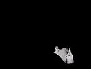 Bob Moses - Days Gone By - LP Vinyl - New