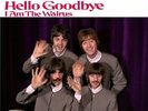 BEATLES / ULTRA  