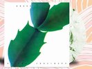 Hiroshi Yoshimura Green SWIRL VINYL LP Record  1986 Japanese Ambient Album  NEW