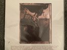 Pixies Surfer Rosa MoFi Half-Speed Mastered 180g Heavyweight Vinyl LP New Sealed