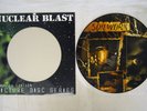 SOILWORK A PREDATOR'S PORTRAIT NUCLEAR BLAST NB 582 1 GERMAN PICTURE  LP