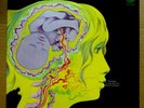 KEITH TIPPETT GROUP Dedicated To You....VERTIGO SWIRL UK 1971 LP SUPERB