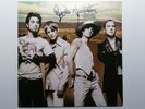 Jane's Addiction Strays Vinyl LP 1x12