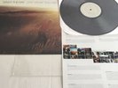 SAVES THE DAY Stay What You Are LP COLORED VINYL limited edition