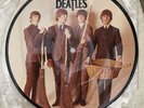 The Beatles - We Can Work It Out- 7” Picture Disc
