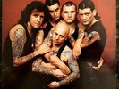 Rose Tattoo - Scarred For Life - Original 1982 UNPLAYED LP
