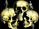 SKULL SNAPS - Skull Snaps - Vinyl (gatefold LP + insert)