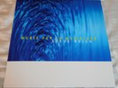 STEVE REICH: Music for 18 Musicians 2015 Nonesuch 2X VINYL #2227 RSD