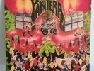 vinilo pantera-projects in the jungle