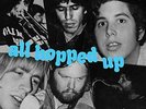 NRBQ-ALL HOPPED UP (UK IMPORT) VINYL LP NEW