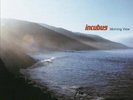 Incubus - Morning View (Gatefold Sleeve) [2LP Vinyl]