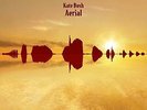 Bush Kate-Aerial VINYL NEW