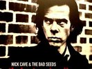 ID23z - Nick Cave  The Bad Seeds - The Boatman's Call - vinyl LP