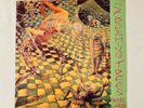 Screaming Trees - Invisible Lantern w/insert RARE 1988 first press sst mudhoney