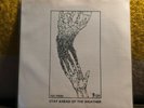 Stay Ahead Of The Weather - We Better Get.. - Test Press 3/20 - Benefitting CCBF