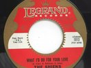 45 RPM,  DOOWOP VOCAL GROUP,THE SHIELDS, WHY SHOULD I DANCE/ WHAT ID DO FOR YOUR