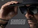SHAGGY HOT SHOT 2020 DOUBLE VINYL NEW (8THJULY)
