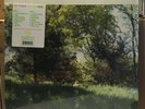 Cat Power 'You Are Free' LP NEW / SEALED