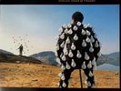 Pink Floyd - Delicate Sound Of Thunder - EMI EQ5009 vinyl double album