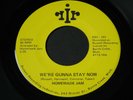 Homemade Jam   We're Gunna Stay Now / State of Mind   Mich rural psych rock 45