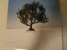 Shiny Toy Guns  - We Are Pilots LP, Vinyl Schallplatte 