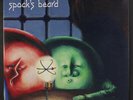 SPOCK'S BEARD: The Light LP (Germany, 2 LPs, inner sleeves, sl corner dings)