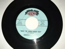 Rare 45 FRITZ Lindsey Buckingham w/ STEVIE NICKS Fleetwood Mac Garage Rock HEAR