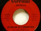 TENTH DYMENSIONS 45 My love for you is growing wild SAPPHIRE soul  Mg 35
