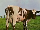 ORIGINAL 1970 PINK FLOYD Album ATOM HEART MOTHER Vinyl RECORD Harvest Lp MINT
