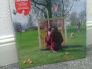RARE an introduction to SYD BARRETT vinyl album