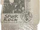Sex Pistol Spunk Bootleg LP