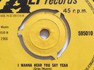 The Hi-Fis,I Wanna Hear You Say Yeah, VG,Alp freakbeat,garage ,1966