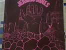 RARE LP 33T JERICHO JONES 