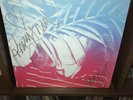 SIGNED x2 Glass Candy Vinyl Johnny Jewel Chromatics Drive Soundtrack Desire II