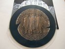 Revolting Cocks / Beers, Steers + Qveers /  Rare Picture Disc 12
