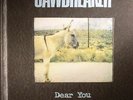 JAWBREAKER - Dear You - Vinyl (LP)