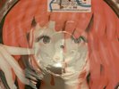 KYARY PAMYU PAMYU Pika Pika Fantajin Vinyl LP record Anime Jpop Japanese Music