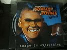 Jugheads Revenge - Image Is Everything Vinyl LP RARE punk Nitro Records