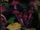 LP CHUG - Sassafras  1994