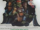 Teenage mutant ninja turtles 7