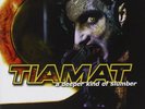 Tiamat - A Deeper Kind Of Slumber 2 x LP - 180 Gram Vinyl Record SEALED Album