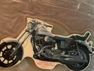 BRUCE SPRINGSTEEN Motorcycle Shaped Picture Disc Interview Limited To 5000 Rare