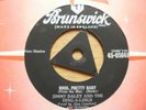 Rare Rocker    Jimmy Daley & Ding-A-Lings  